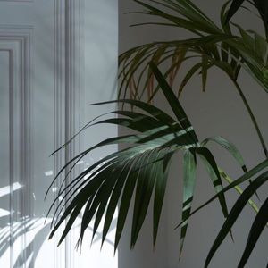 Meet your Posher, Audra